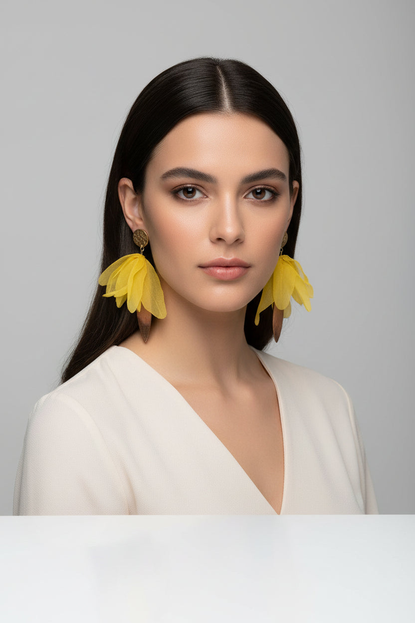 Caravanas